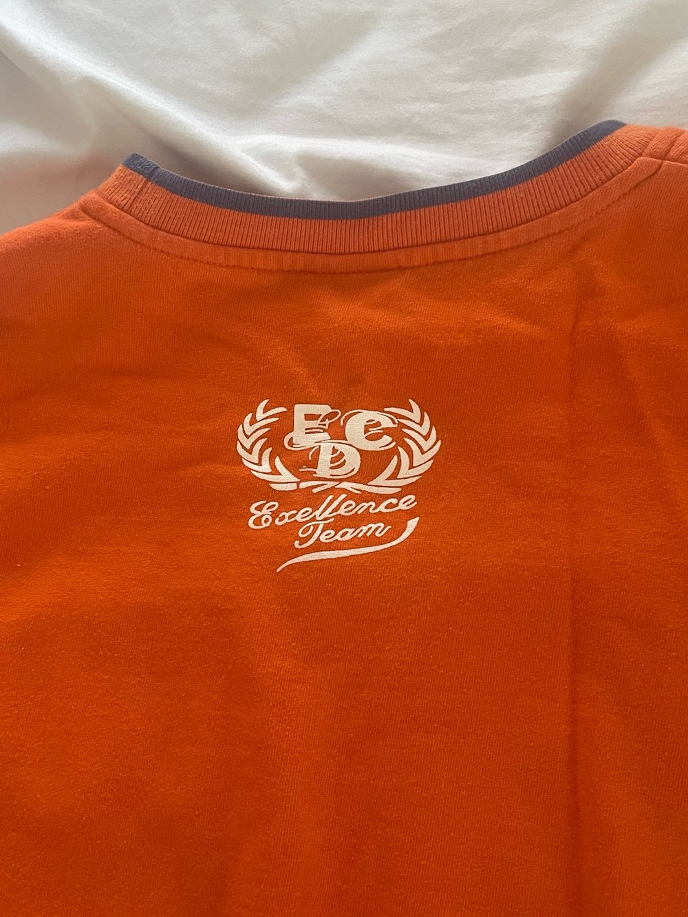 Orange Embroidered Eddicott Crewneck Sweater - Picture 3 of 4